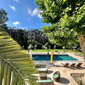 Pauline Bed & Breakfast Avignon