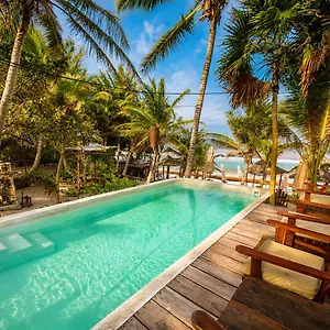 https://dos-ceibas-massage-yoga-inclusive.tulum-hotels.net